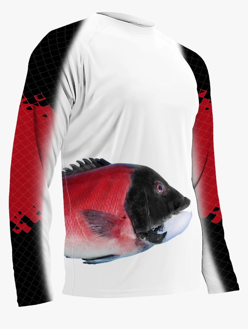 California Sheephead, HD Png Download