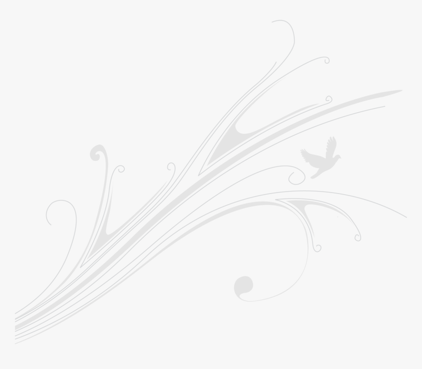 Sketch, HD Png Download