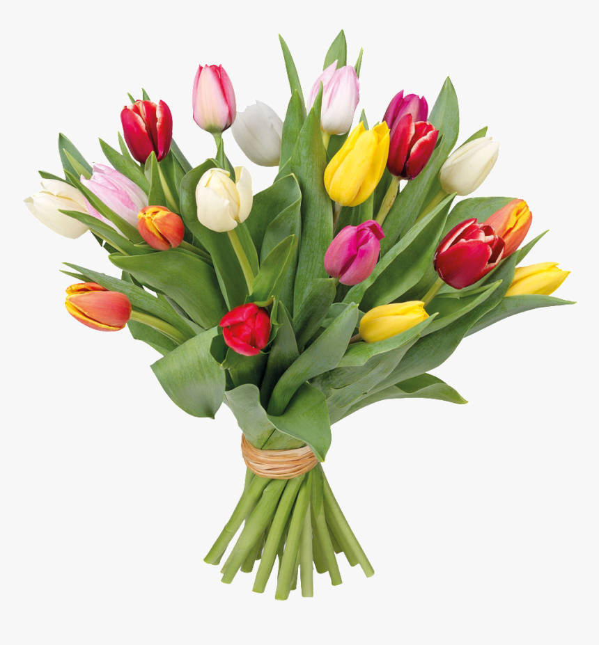 Romantic Hand Pot Flower Cartoon Transparent - Tulpaner Bukett, HD Png Download