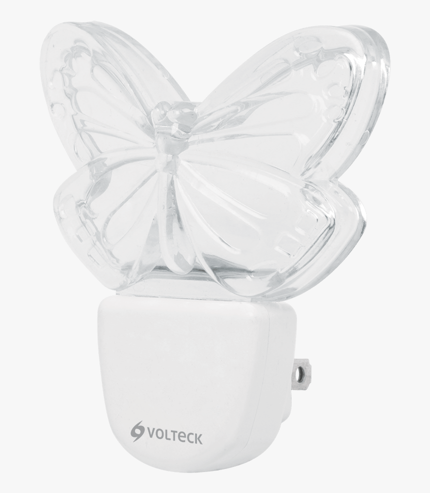 Pieridae, HD Png Download