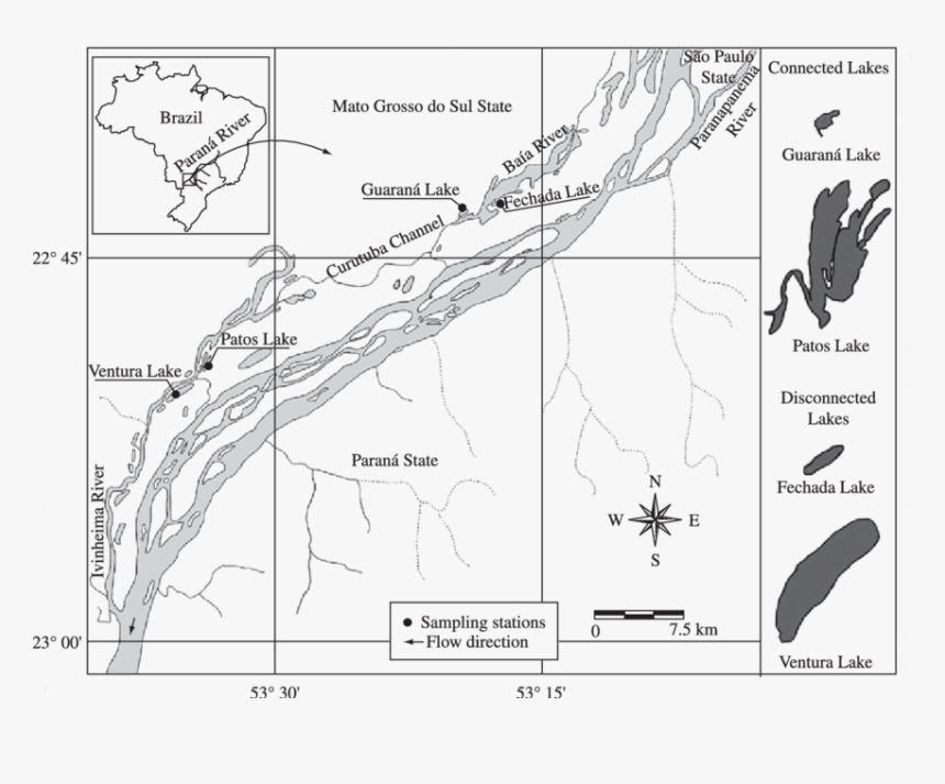 Diagram, HD Png Download