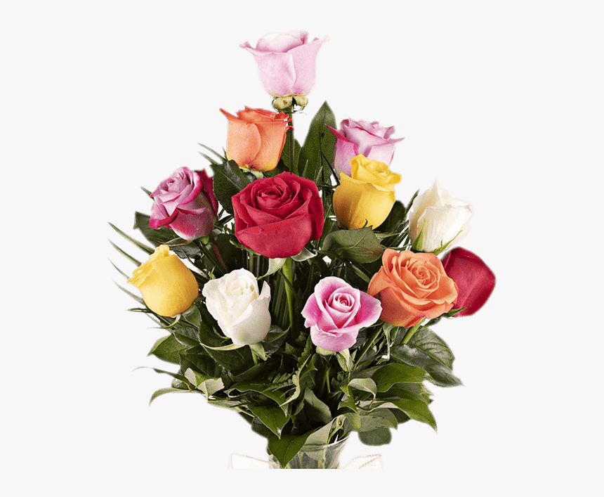 Garden Roses, HD Png Download