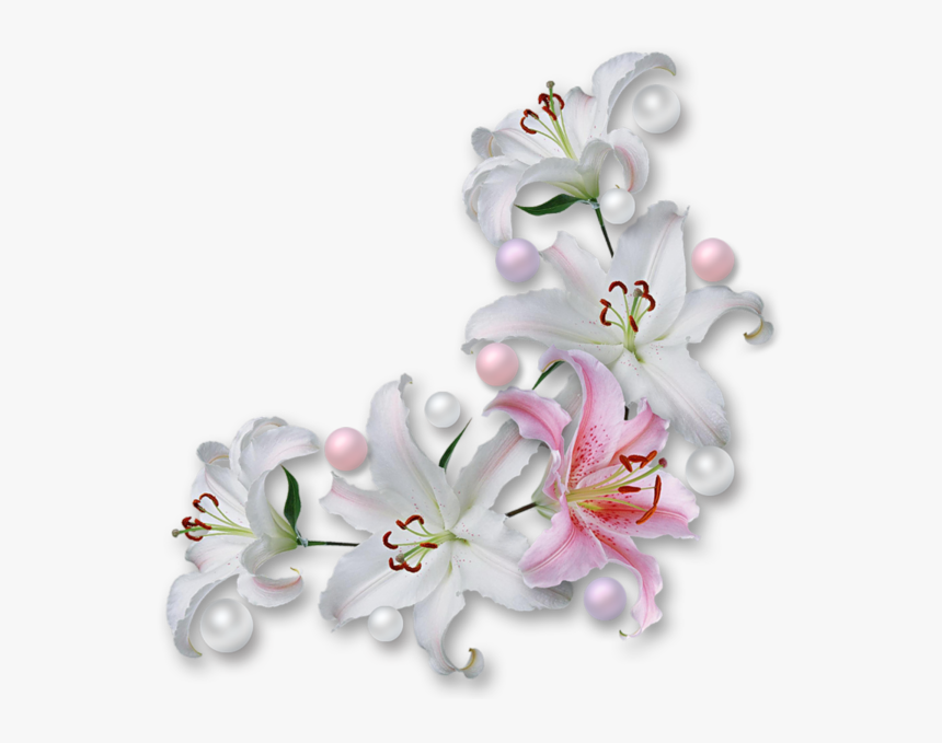 Clip Art Gifs Com Fundos Transparentes - White Flower Corner Png, Png Download