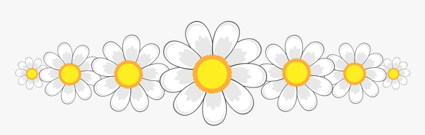 Flower, Framework, Flowers, Spring, Marguerite, White - Circle, HD Png Download