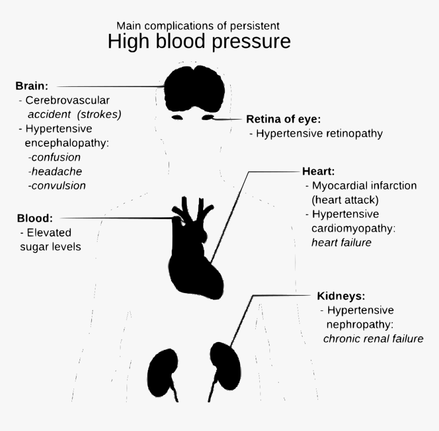 Diagram, HD Png Download