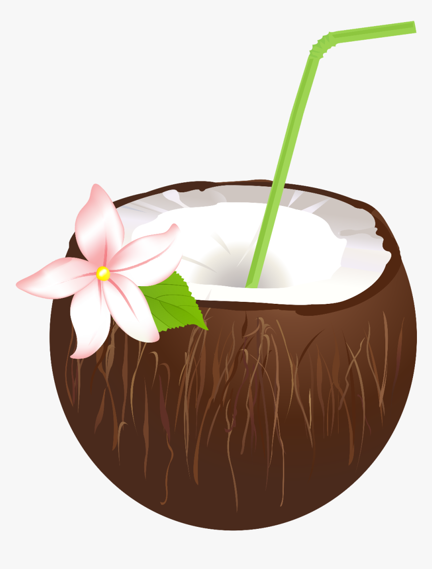 #drink #drinks #cocktails #coconut #flower #summer - Coconut Summer Drink Cocktail, HD Png Download