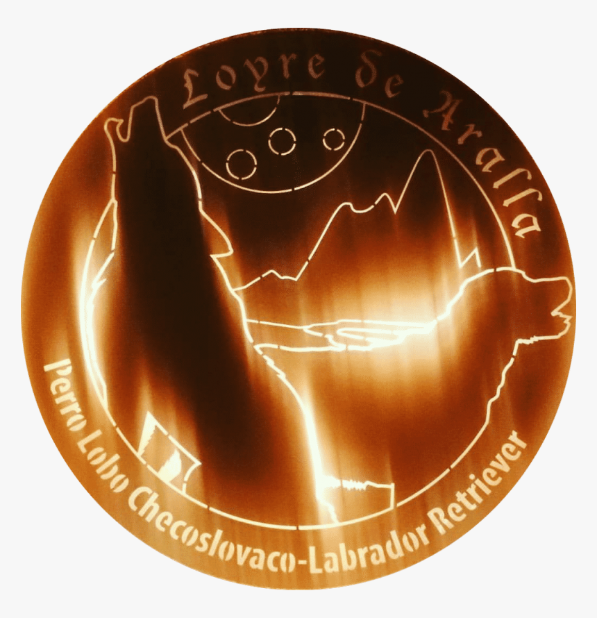 Circle, HD Png Download