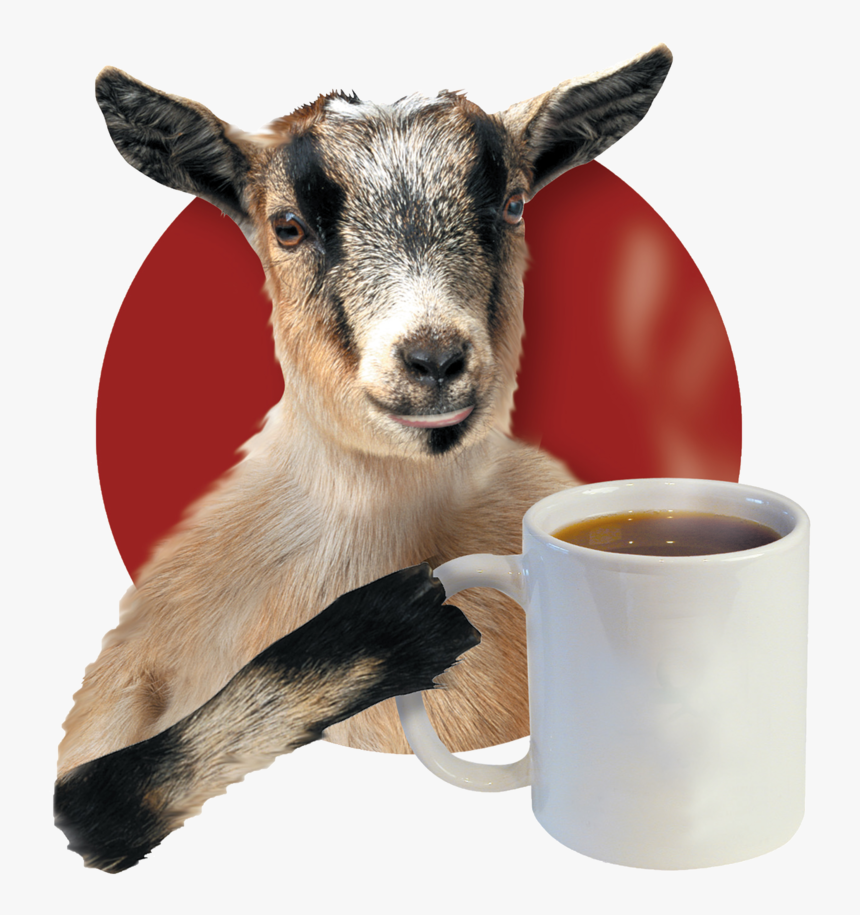 Current Goat Blank Mug - Crazy Mocha Pittsburgh, HD Png Download