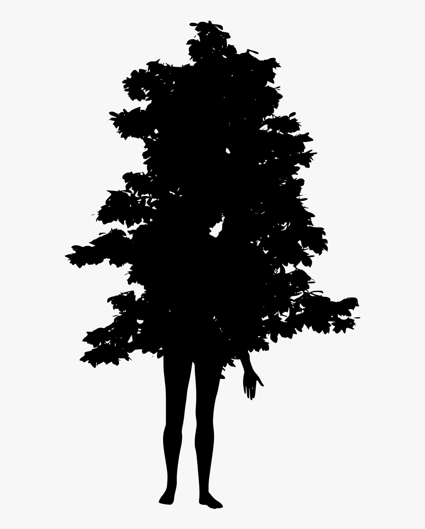 Christmas Tree, HD Png Download