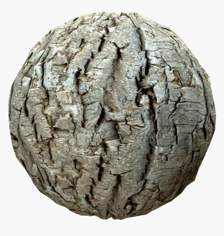 Transparent Tree Bark Texture Png - Artifact, Png Download
