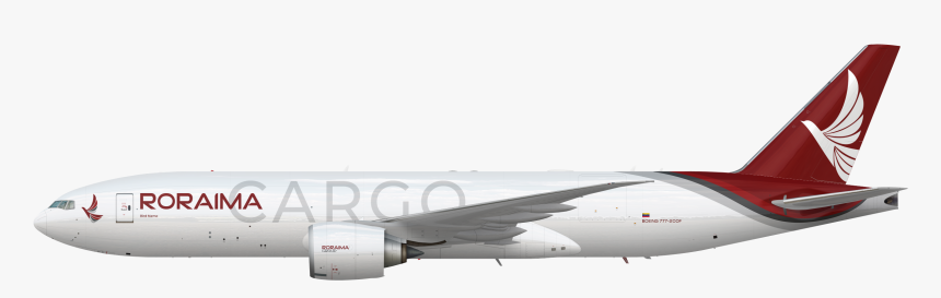 Roraima Virtual Airline , Png Download - Roraima Airways Virtual, Transparent Png