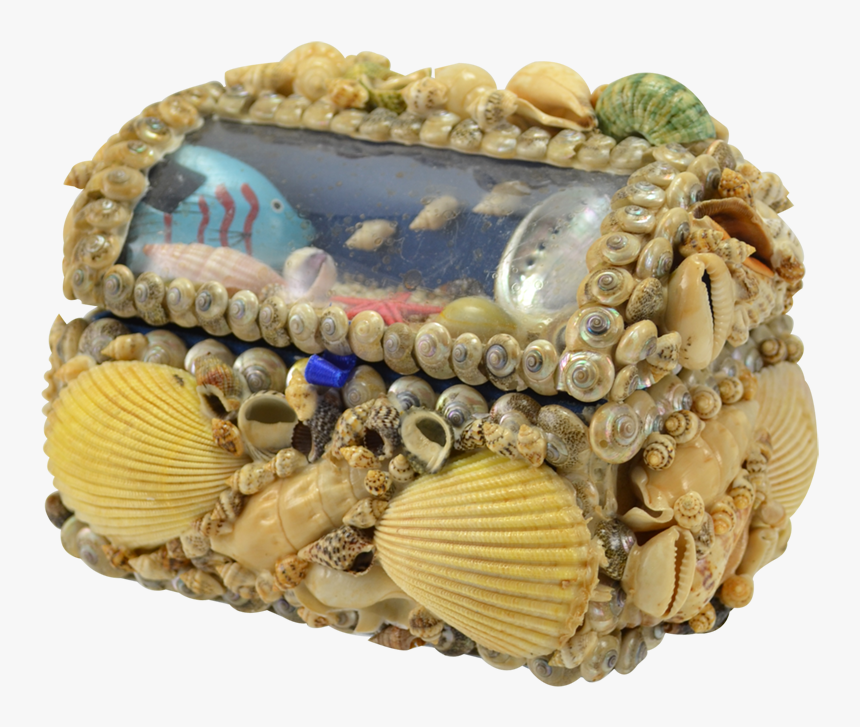 Natural Seashell Treasure Box - Cake Decorating, HD Png Download