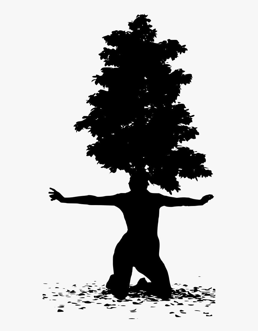 Bark, HD Png Download