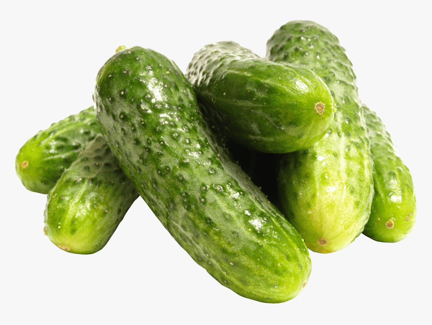 Pile Of Cucumbers - Cucumber Pickling Png, Transparent Png