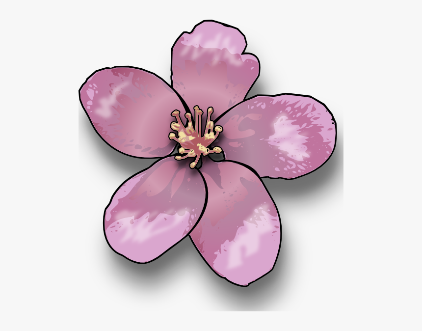 Apple Blossom Clip Art, HD Png Download