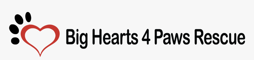 Big Hearts 4 Paws Rescue - Calligraphy, HD Png Download