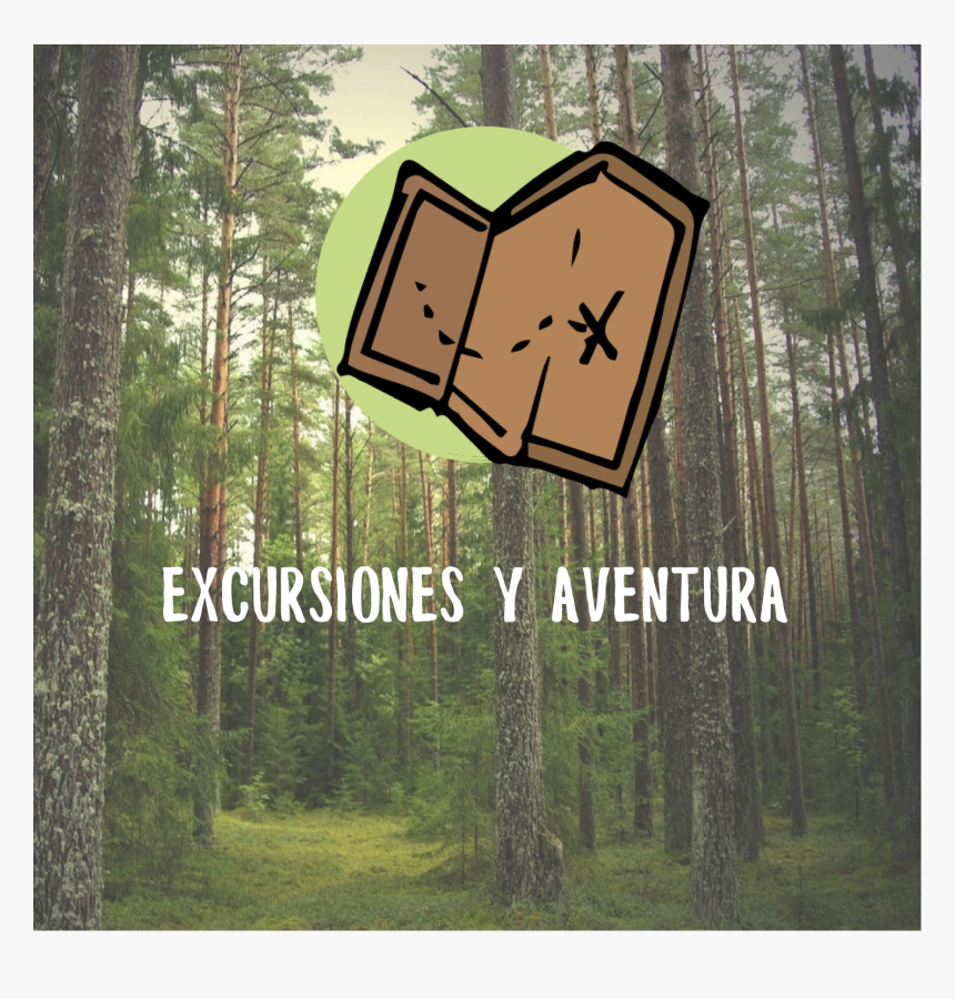 Grove, HD Png Download