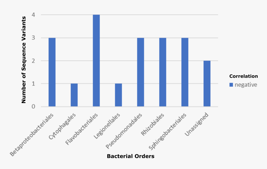 Plot, HD Png Download