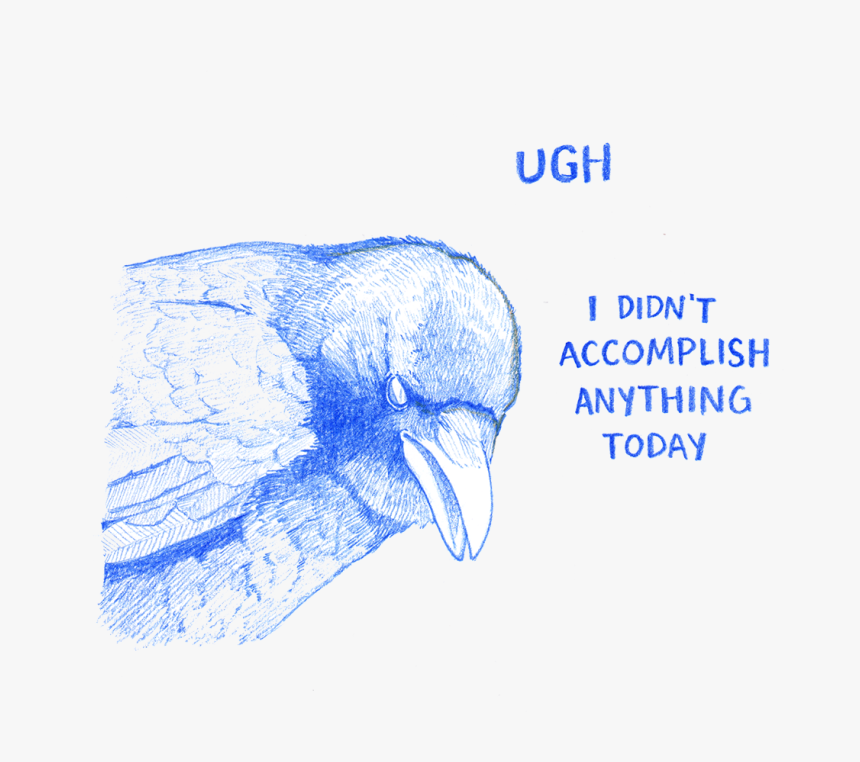 Sketch, HD Png Download