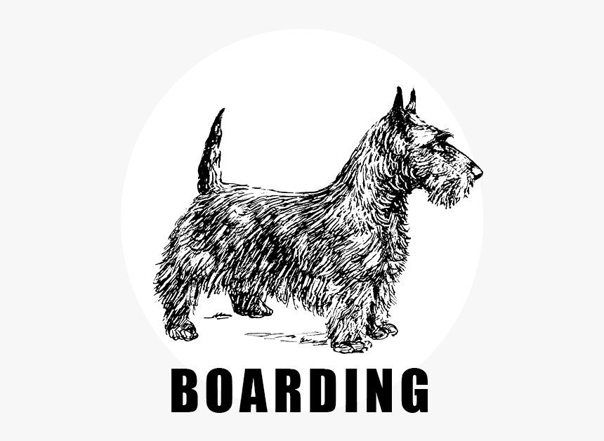 Draw Dogs, HD Png Download