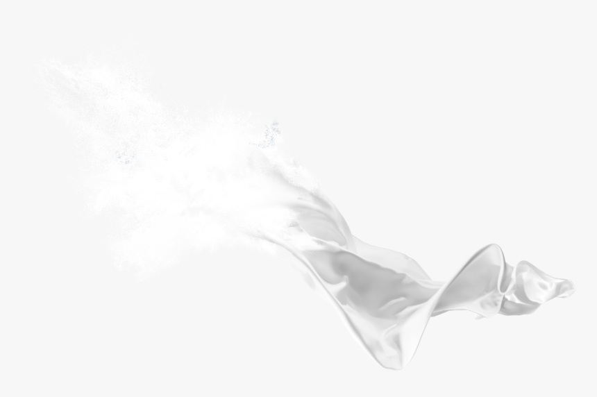 The Ocean - Still Life Photography, HD Png Download