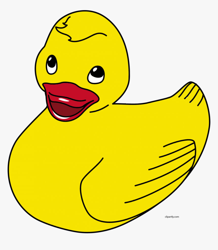 Duck, HD Png Download