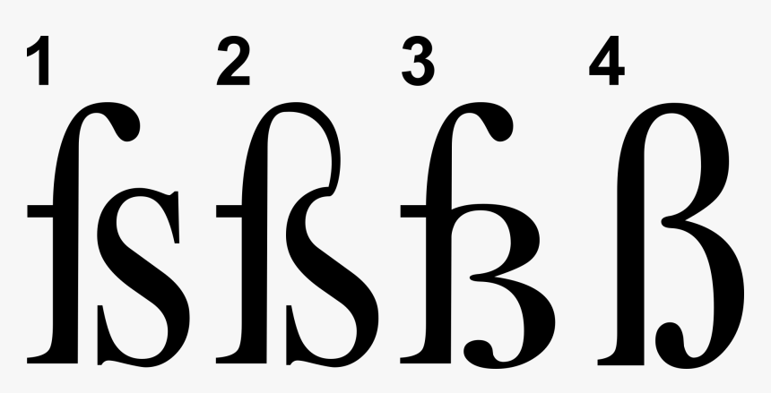 Four Forms Of Antiqua Eszett - Calligraphy, HD Png Download