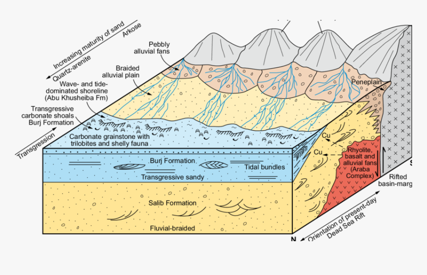 Diagram, HD Png Download