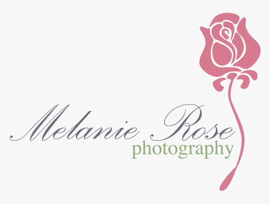 Calligraphy, HD Png Download