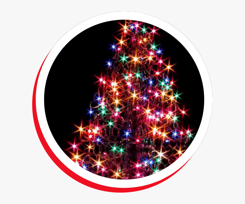 Christmas Tree Outdoor Decorated, HD Png Download