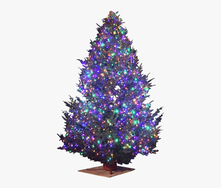 Christmas Tree, HD Png Download