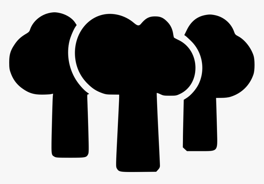 Trees, HD Png Download
