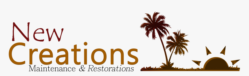 Html5 Icon - Attalea Speciosa, HD Png Download
