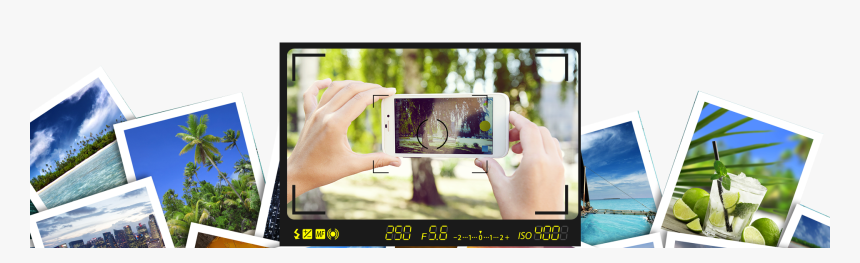 Spider Web Corner Png Transparent Background, Png Download