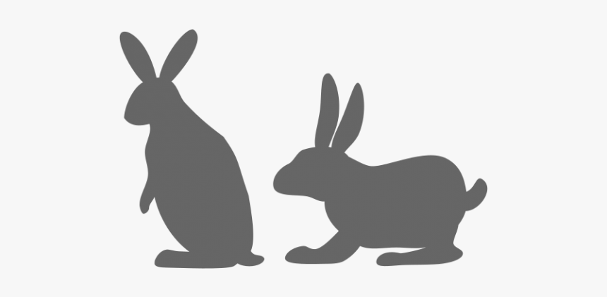 Rabbit Image Vector Example Image - Hare, HD Png Download