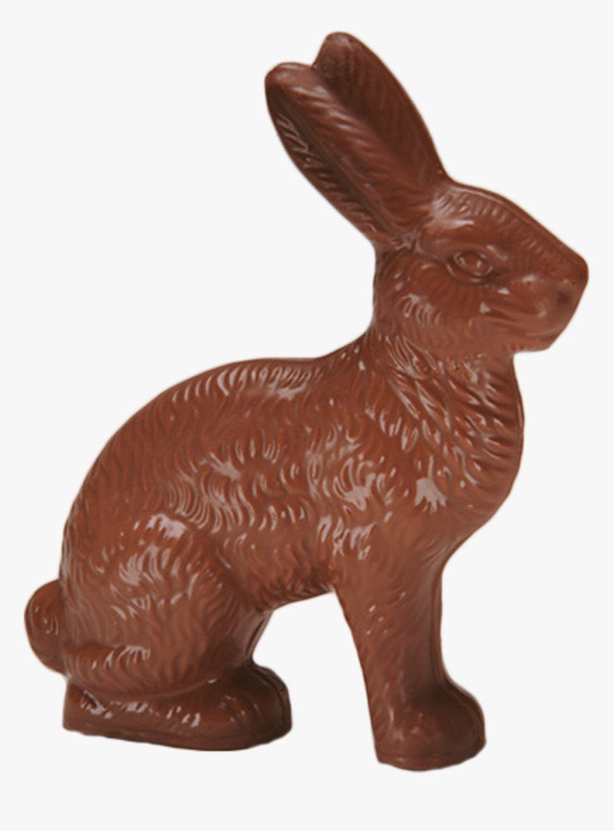 Chocolate Jack Rabbit Large - Domestic Rabbit, HD Png Download