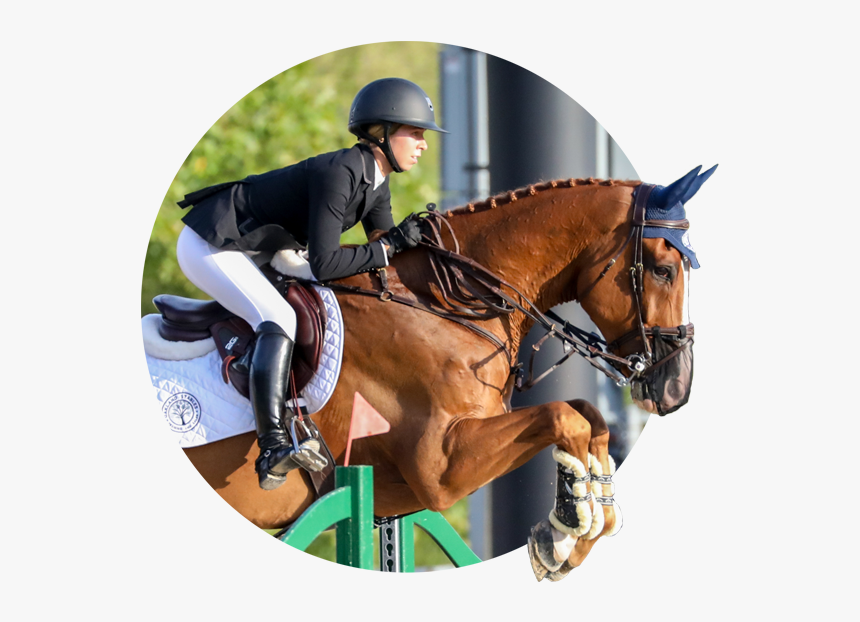 Kirsten Ostling Testimonial - Stallion, HD Png Download