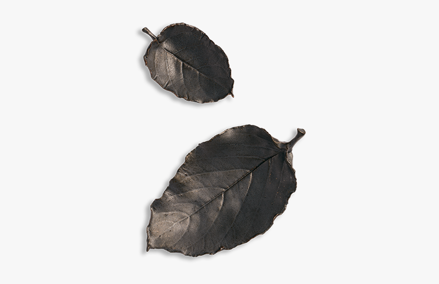 Umbrella, HD Png Download