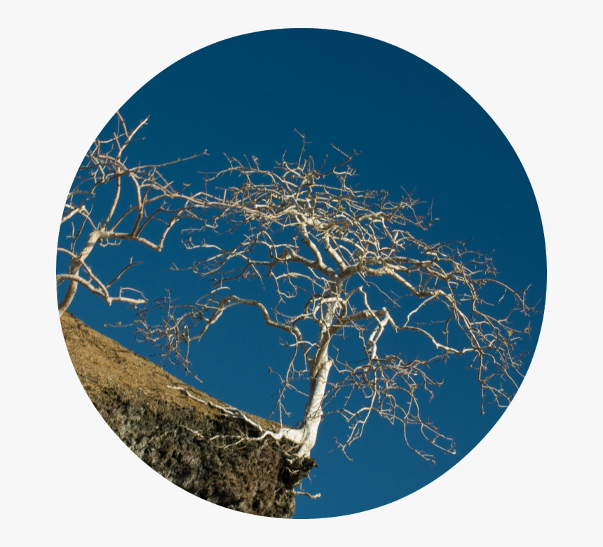 Circle, HD Png Download