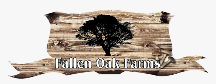Logo Design By Merchand27 For This Project - Oak, HD Png Download