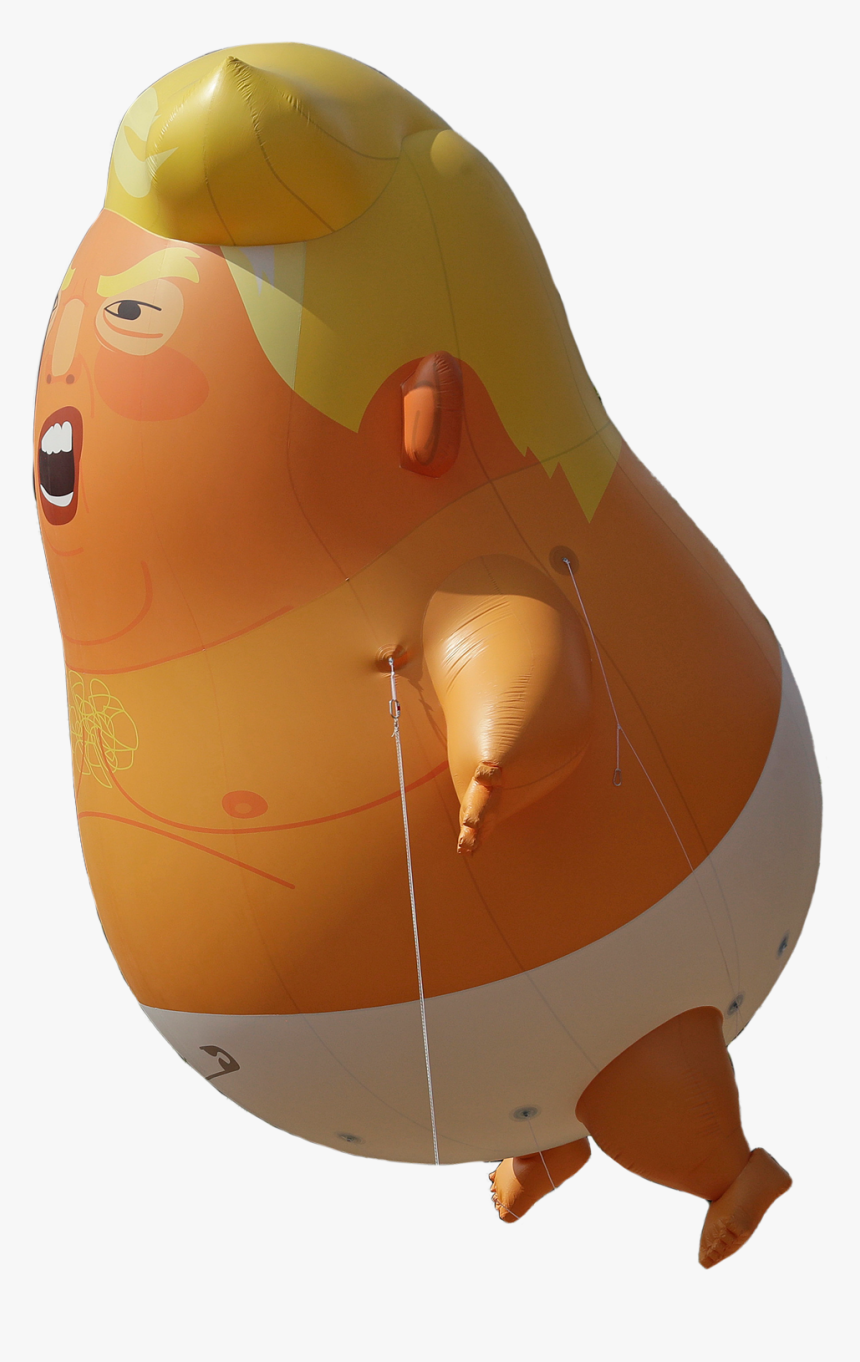 Animal, HD Png Download