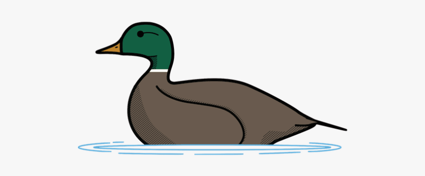 Mallard, HD Png Download