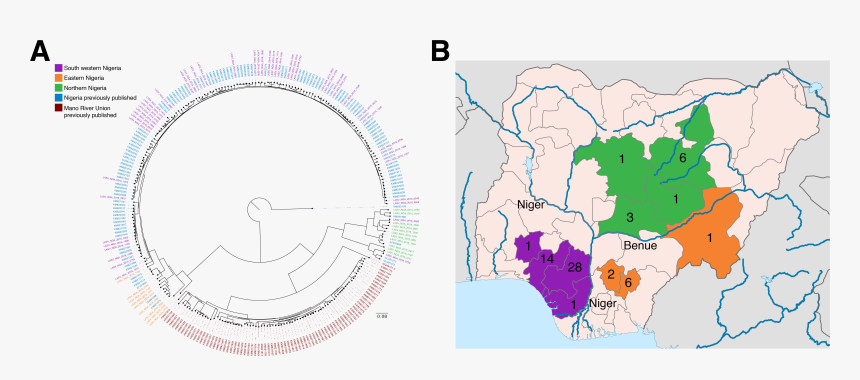 Atlas, HD Png Download