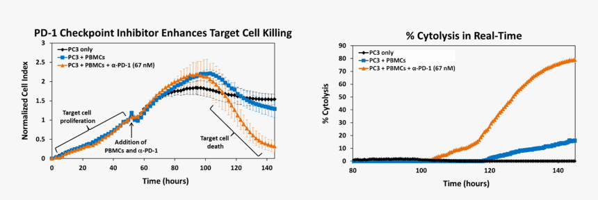Diagram, HD Png Download