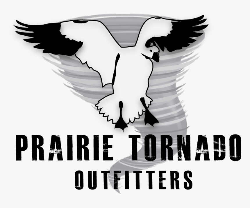 Fight Club Wallpaper Quote, HD Png Download