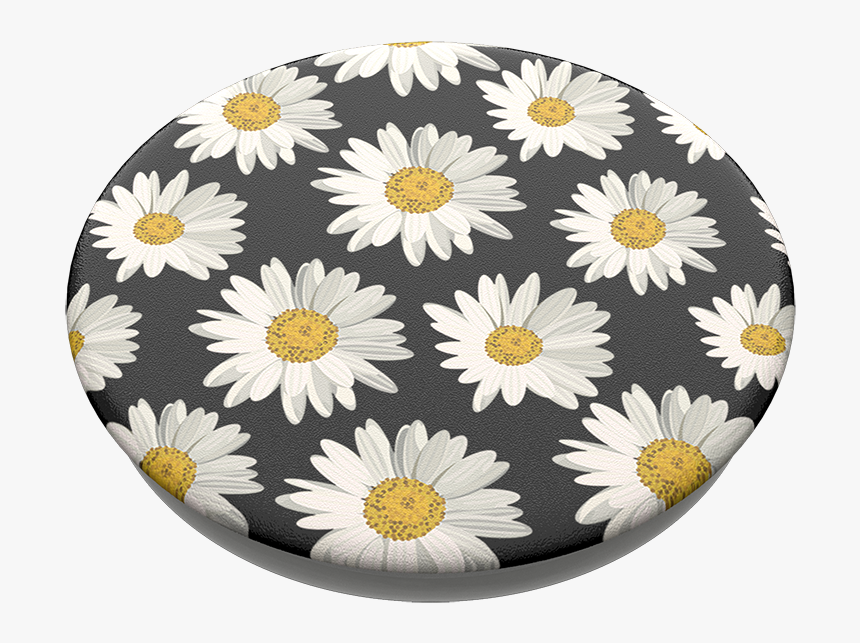 Daisies, Popsockets Daisies - Popsockets, HD Png Download