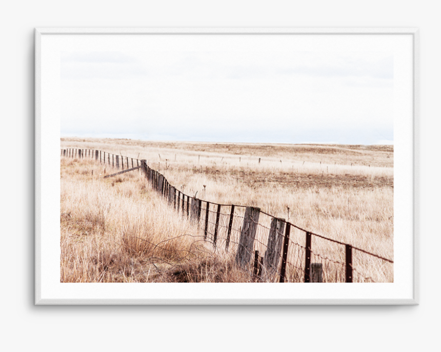 Picture Frame, HD Png Download