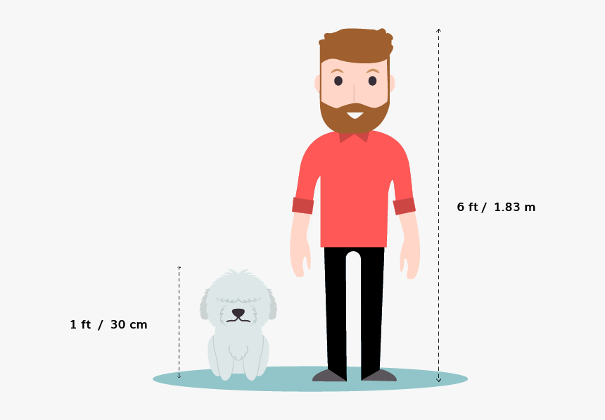 Husky Size Comparison, HD Png Download