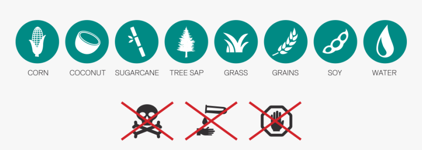 Icons-web, HD Png Download