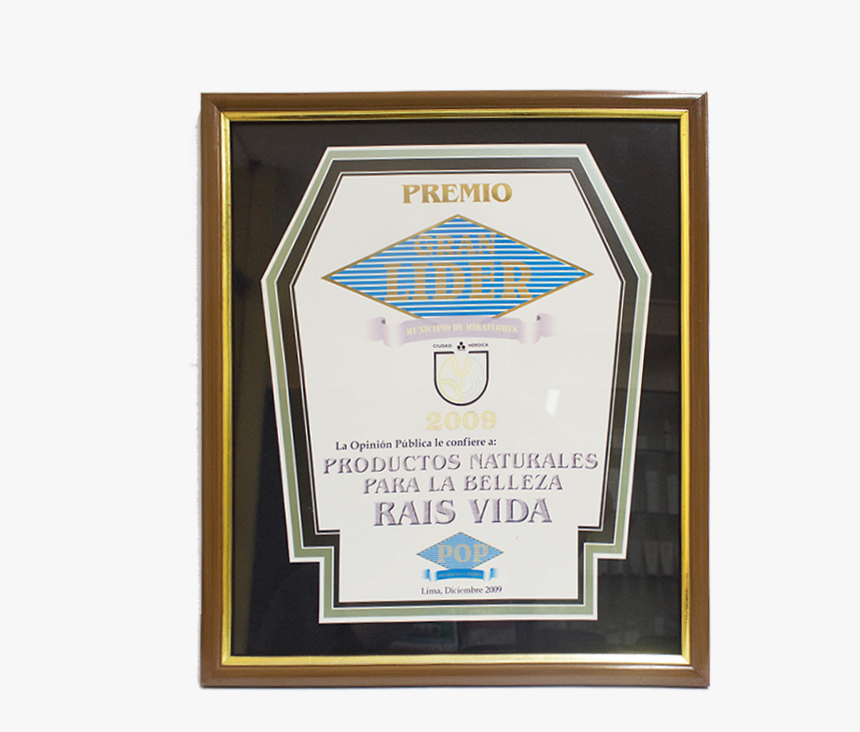 Premio “gran Lider 2009” - Picture Frame, HD Png Download
